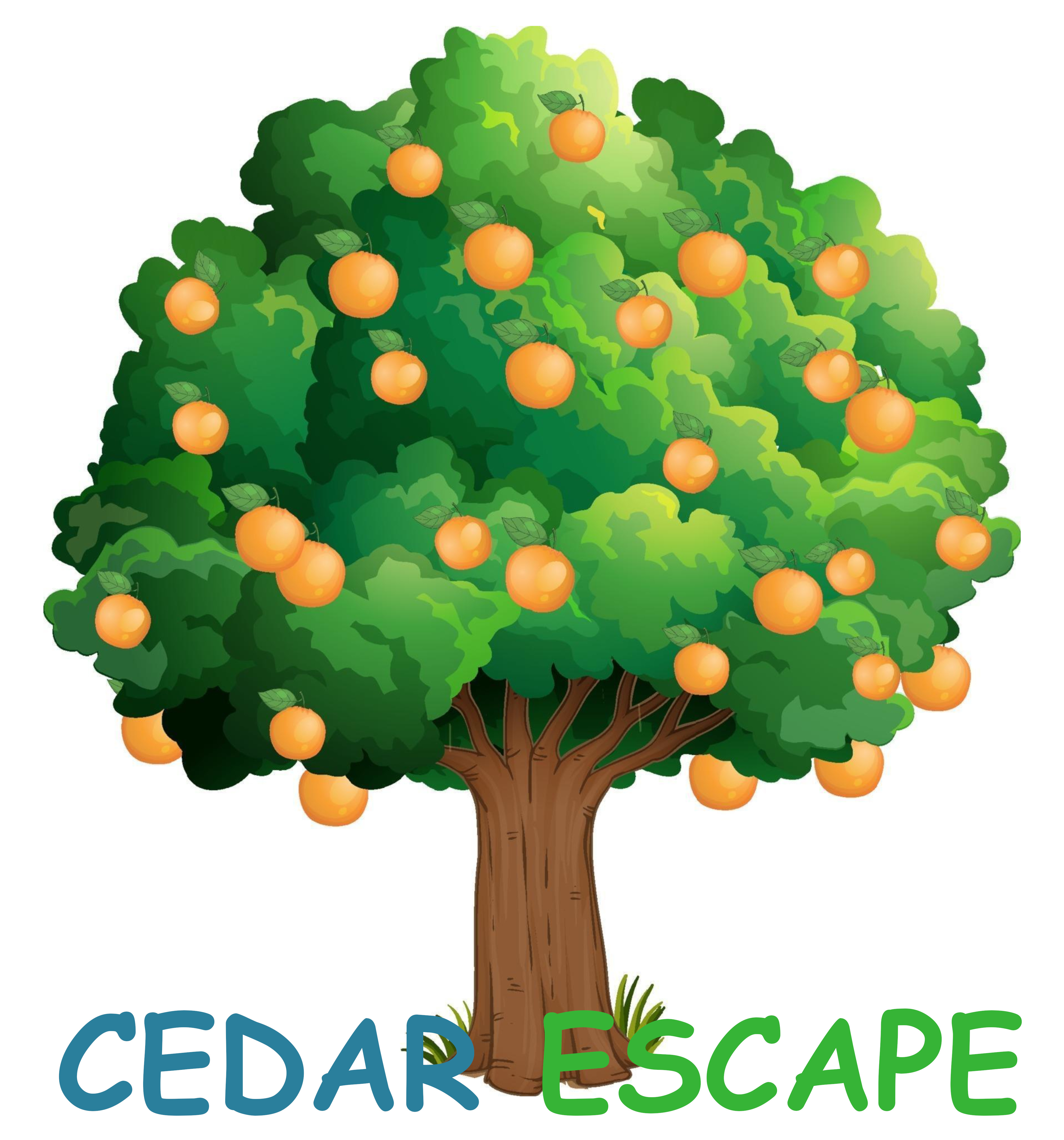 Cedar Escape - Cederberg Accommodation
